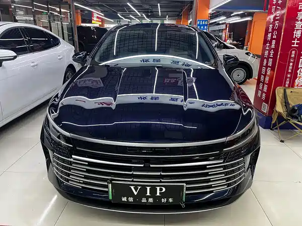 BYD Destroyer 05 2024