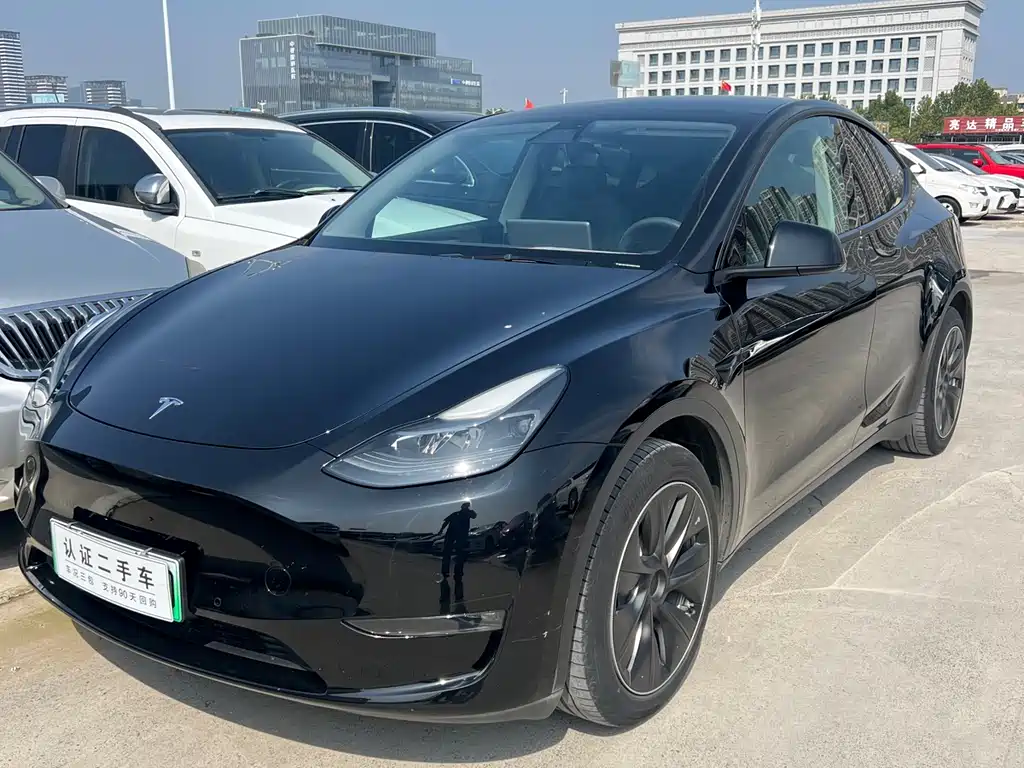 Tesla Model Y 2021 — фото 1