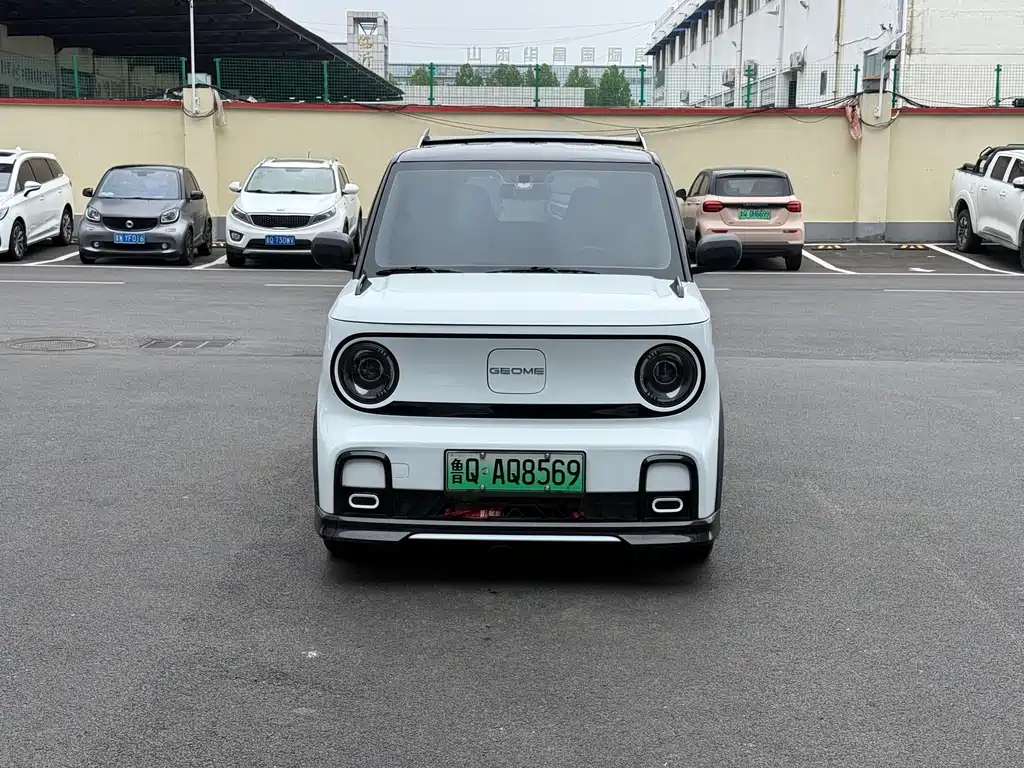 Galaxy Panda 2025