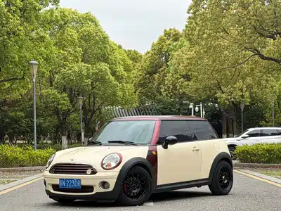 MINI MINI 2010