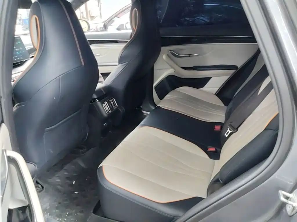 BYD Song PLUS New Energy 2022 — фото 17