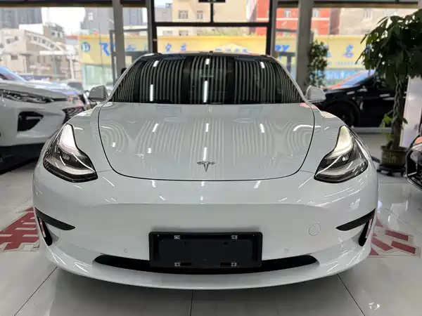 Tesla Model 3 2020