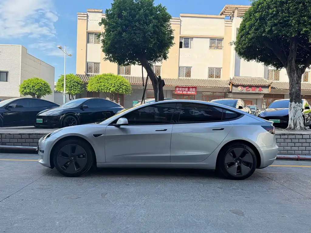Tesla Model 3 2021 — фото 3