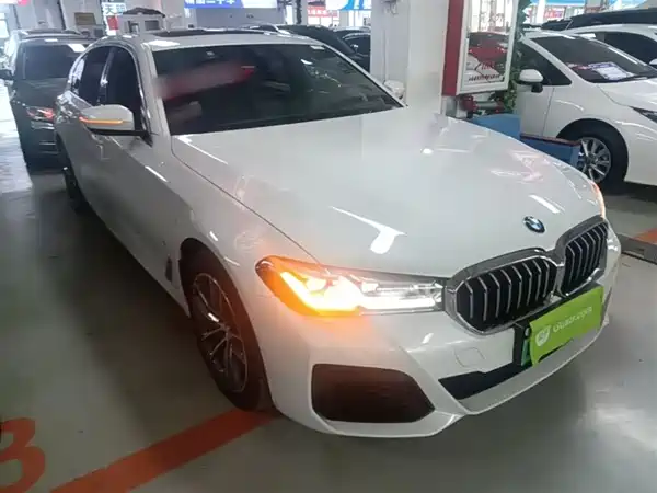 BMW 5 Series New Energy 2021