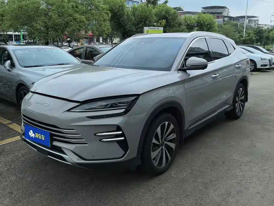 BYD Song PLUS New Energy 2024 — фото 1