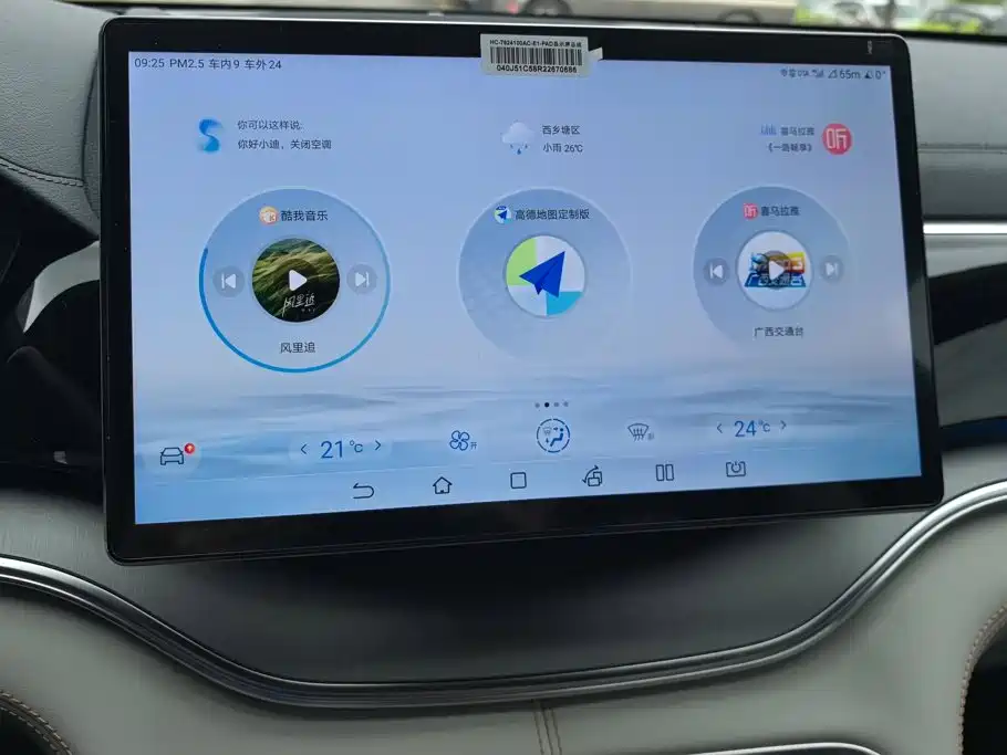 BYD Song PLUS New Energy 2024 — фото 13
