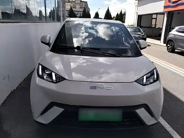 BYD Seagull 2024