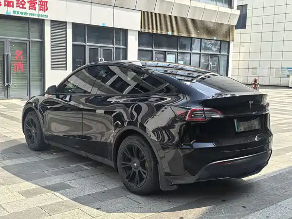 Tesla Model Y 2021