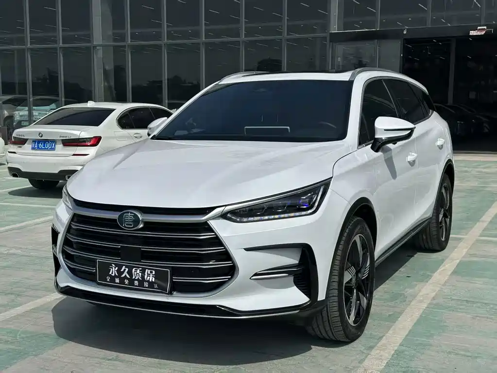 BYD Tang New Energy 2023 — фото 1