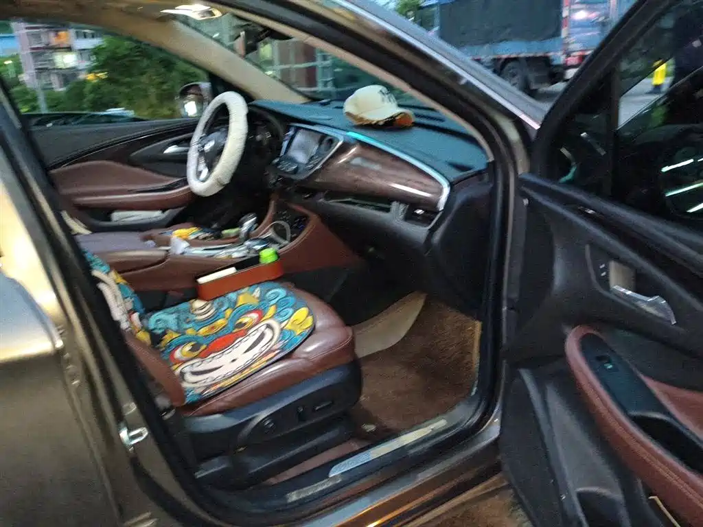 Buick Envision Plus 2017 — фото 20