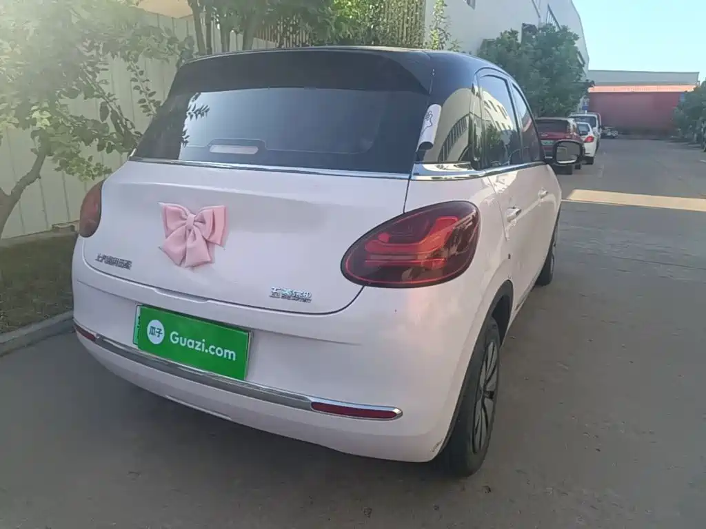 Wuling Bingo 2024