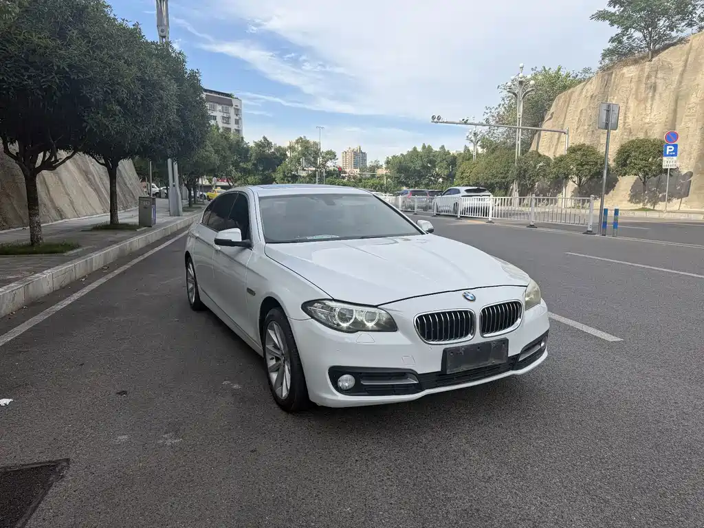 BMW 5 Series 2014