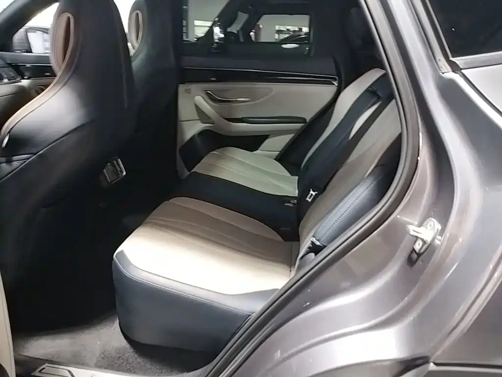 BYD Song PLUS New Energy 2021 — фото 17