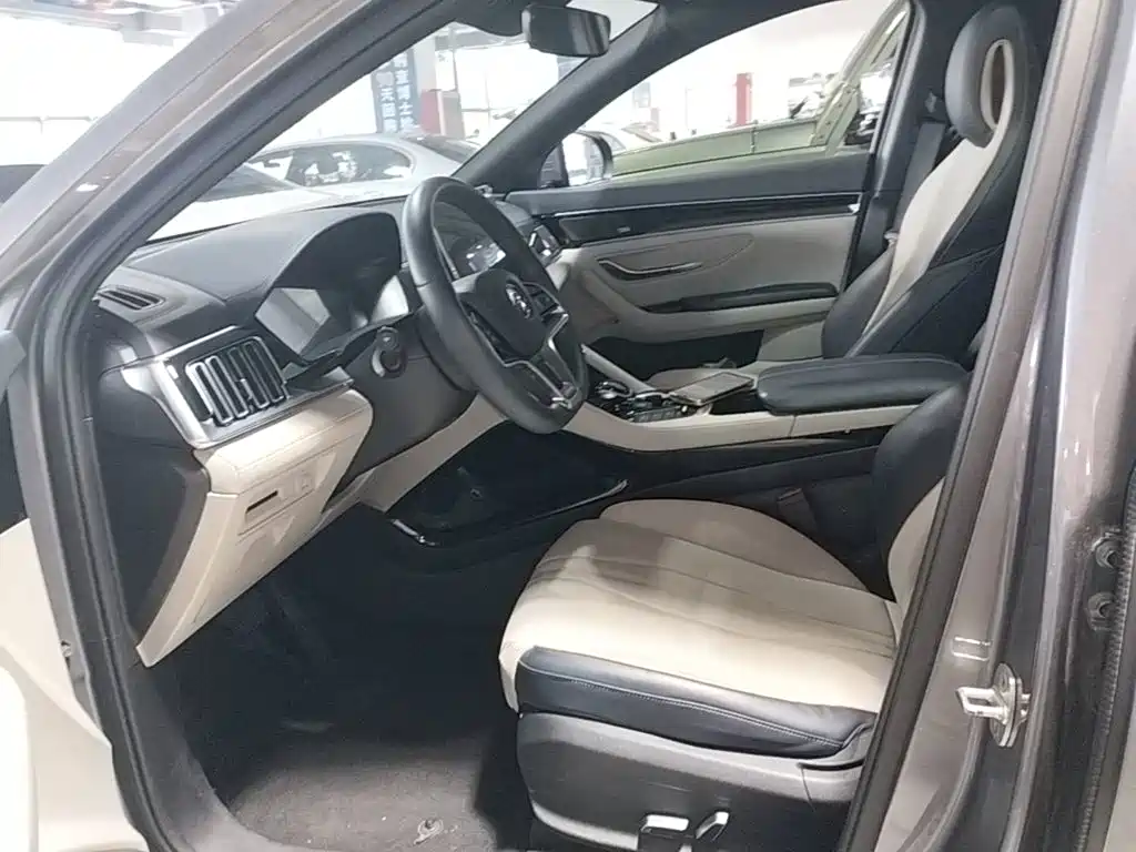 BYD Song PLUS New Energy 2021 — фото 15