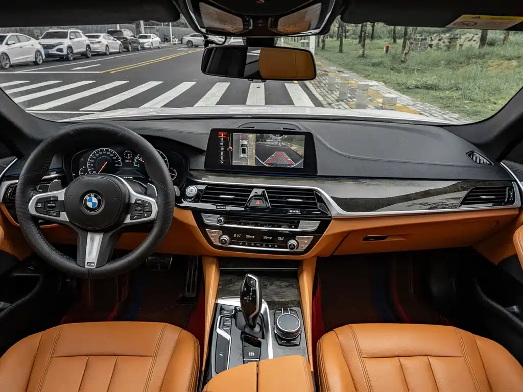 BMW 5 Series 2019