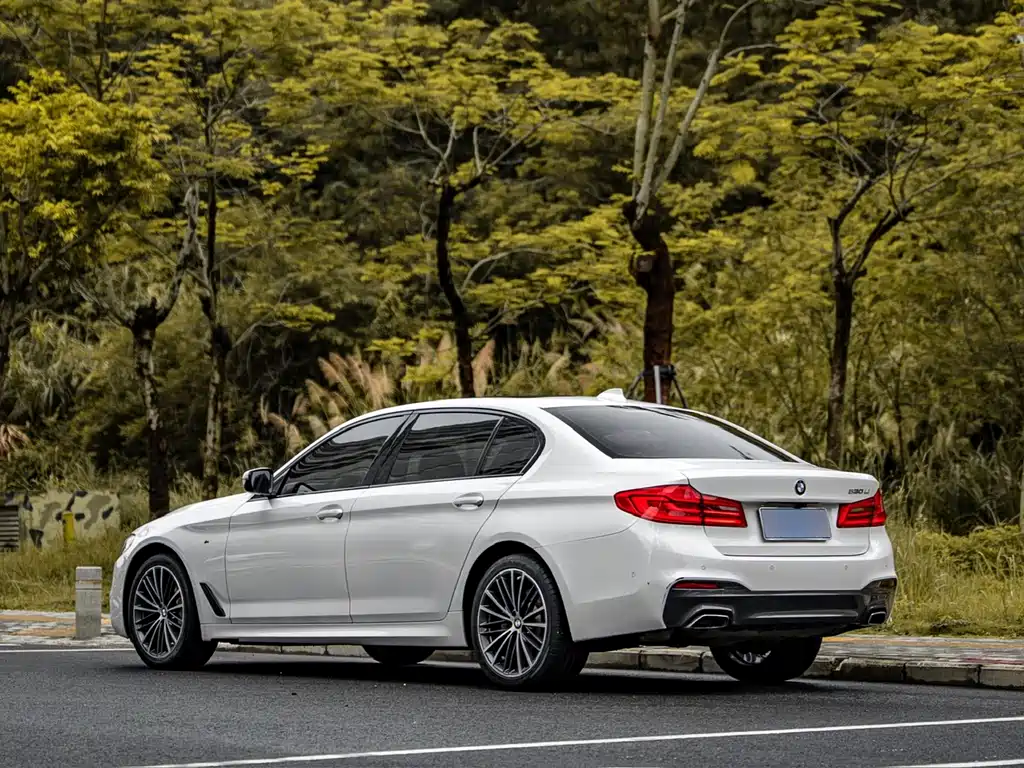 BMW 5 Series 2019