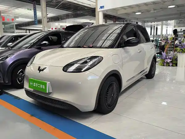 Wuling Bingo 2023