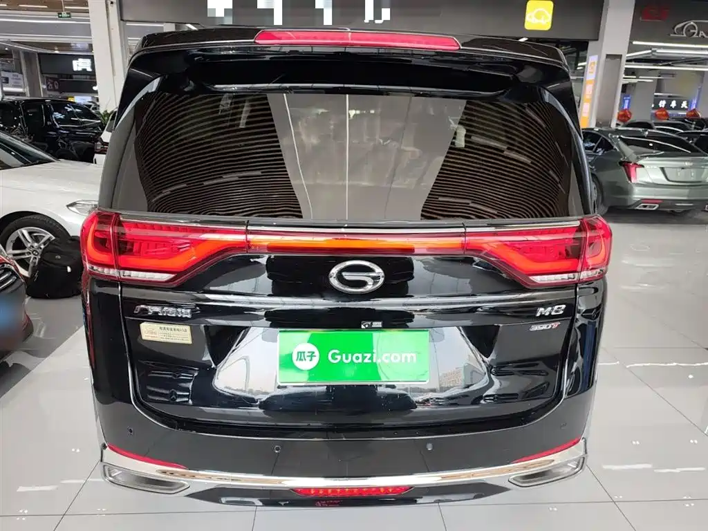 GAC Motor Trumpchi M8 2024 — фото 4