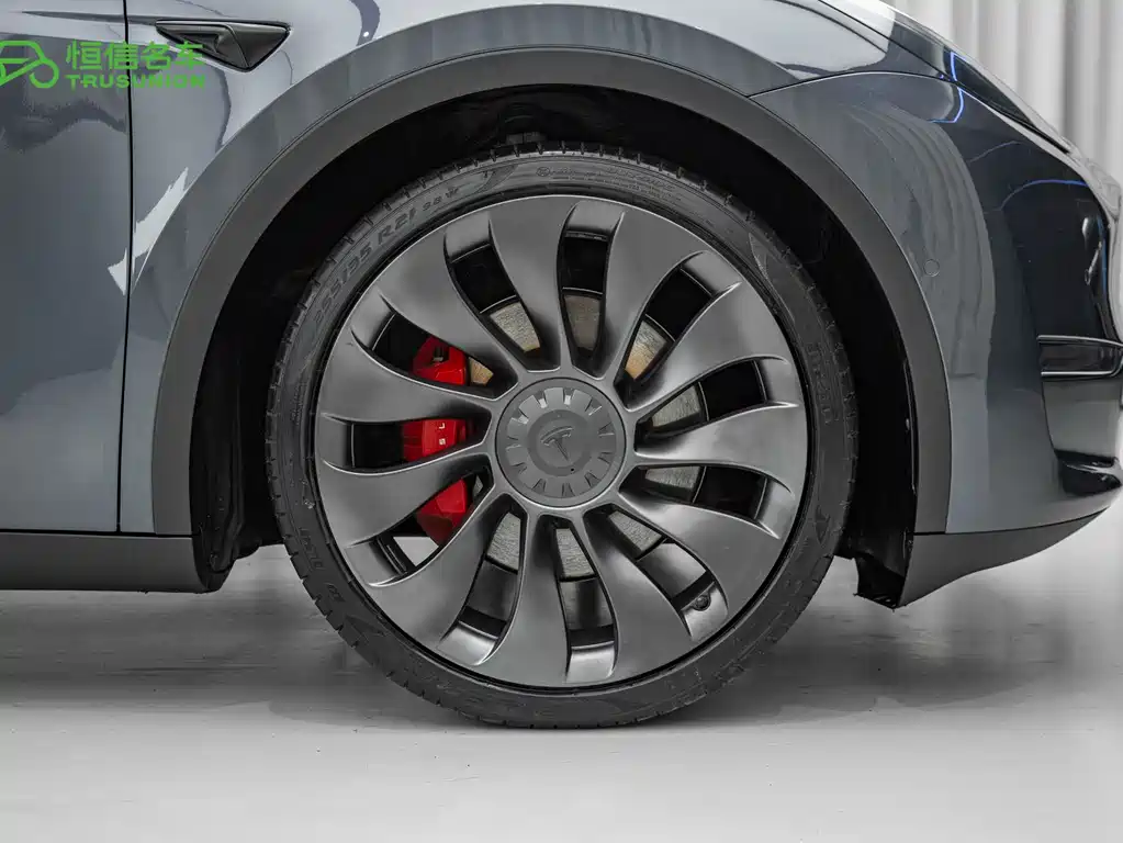 Tesla Model Y 2021 — фото 19