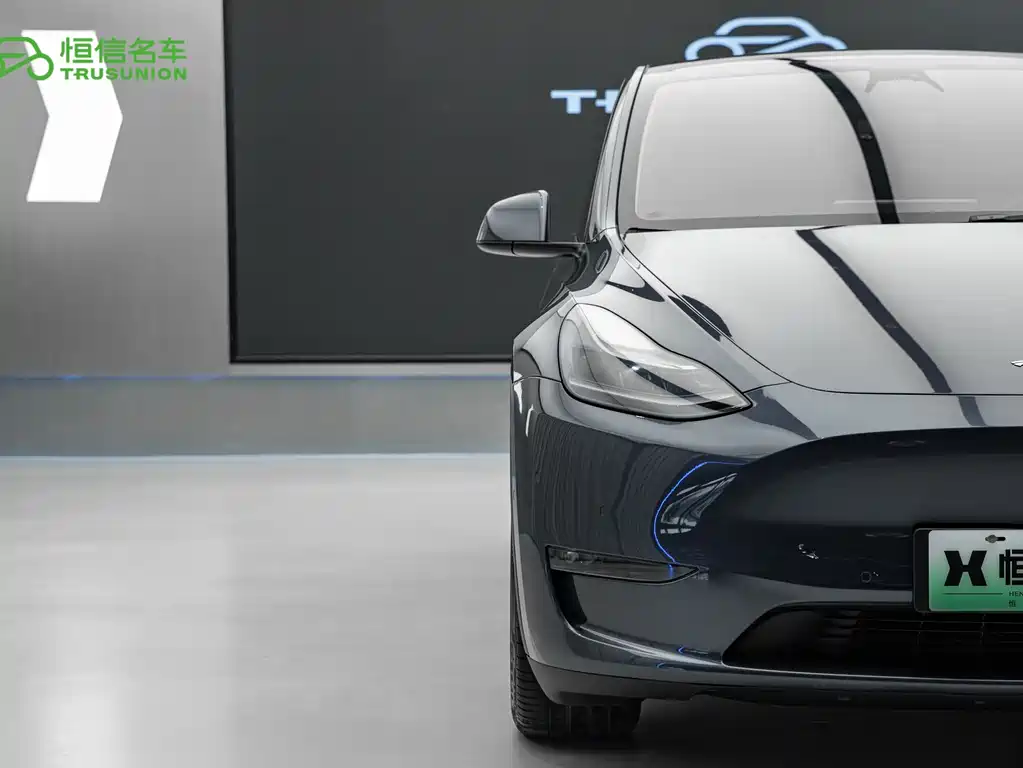 Tesla Model Y 2021 — фото 8