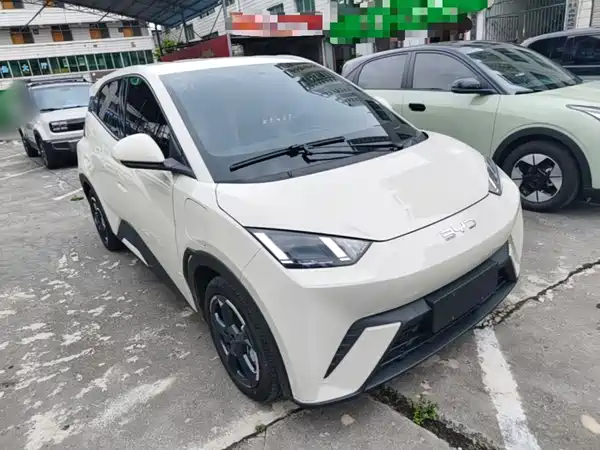BYD Seagull 2024