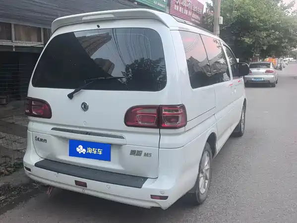Dongfeng Lingzhi 2020