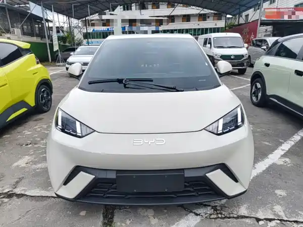 BYD Seagull 2024