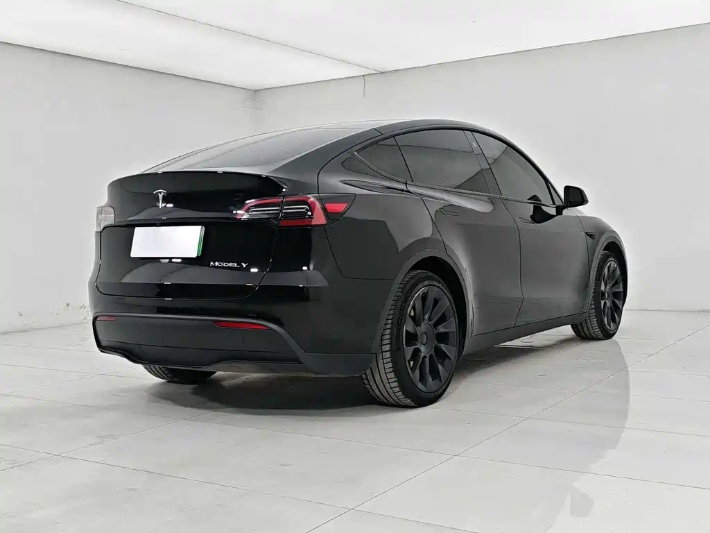 Tesla Model Y 2023 — фото 6