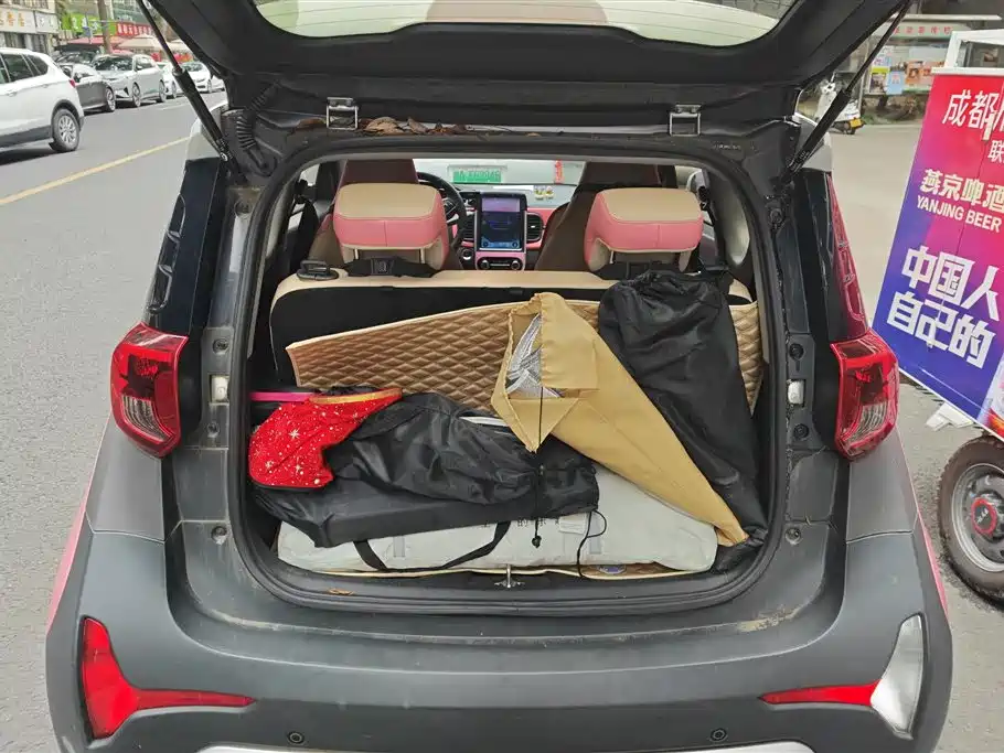 Chery QQ Little Ant 2020