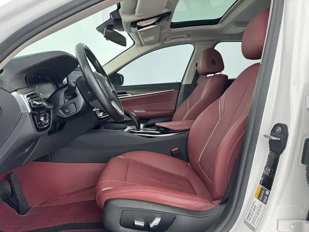 BMW 5 Series New Energy 2021