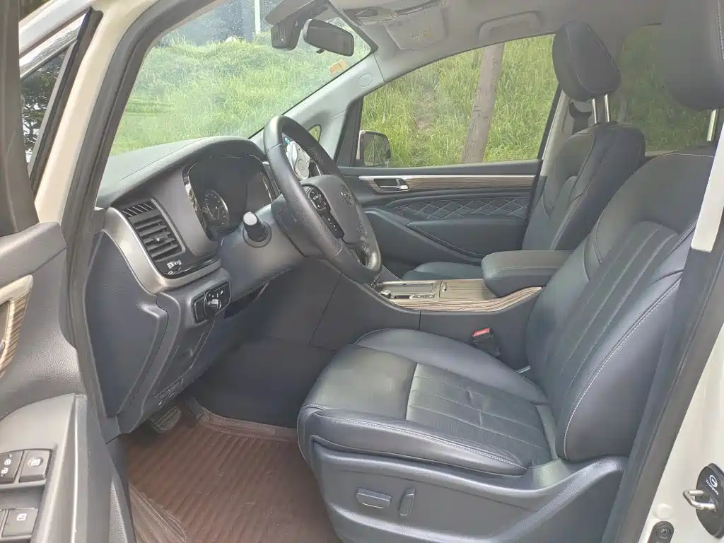 GAC Trumpchi M8 2021 — фото 4