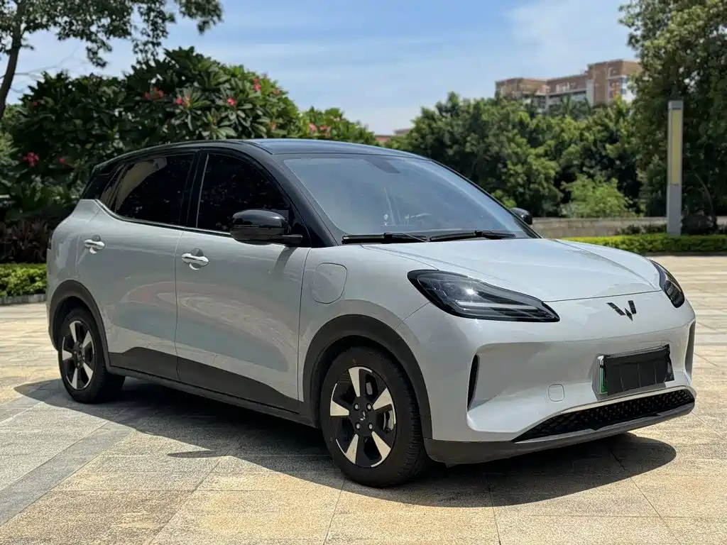 Wuling Bingo PLUS 2024