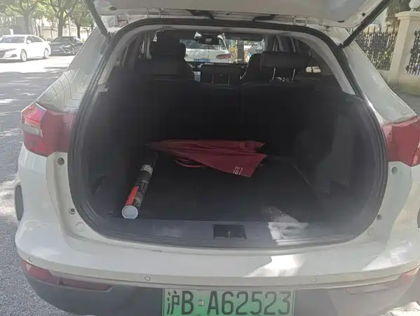 WM Motor EX5 2019