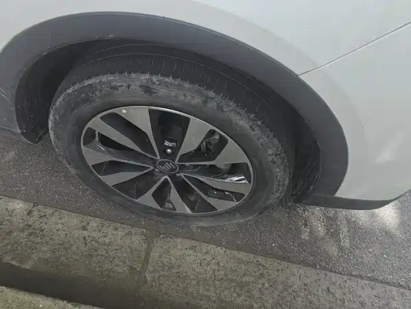 WM Motor EX5 2019
