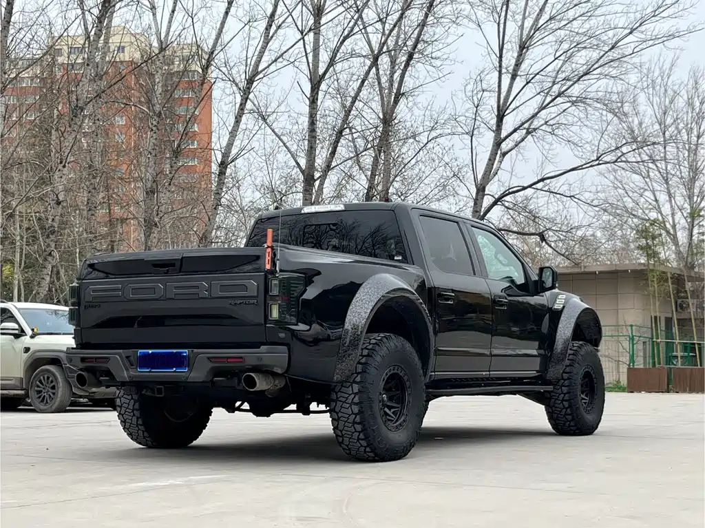 Ford F-150 Raptor 2020 — фото 17
