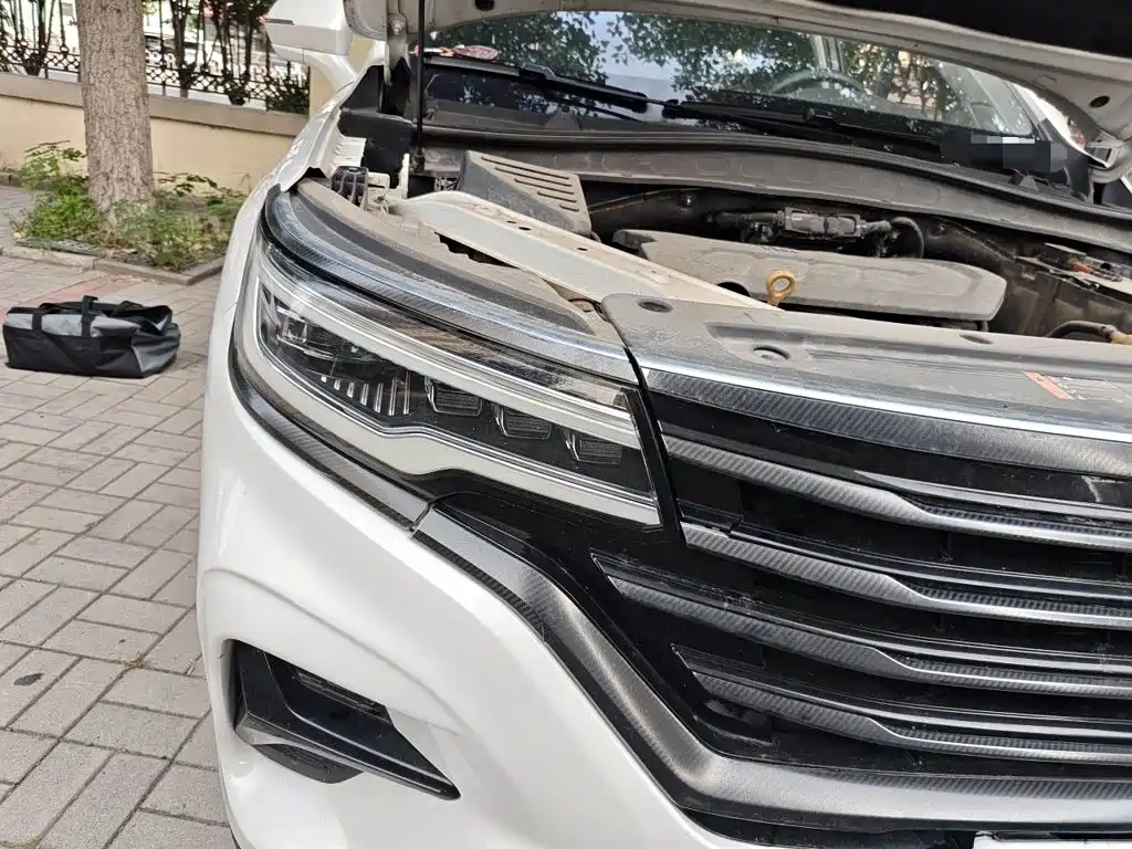 Roewe RX5 MAX 2019 — фото 7