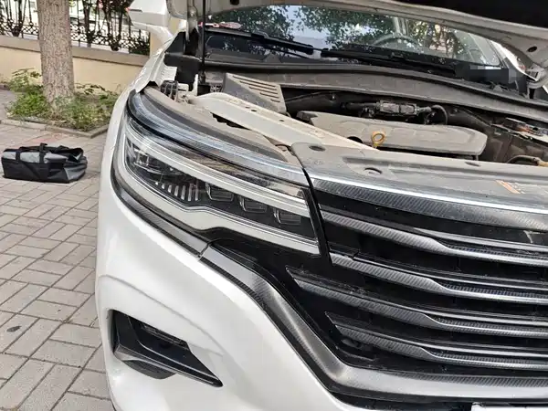 Roewe RX5 MAX 2019