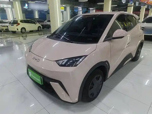 BYD Seagull 2024