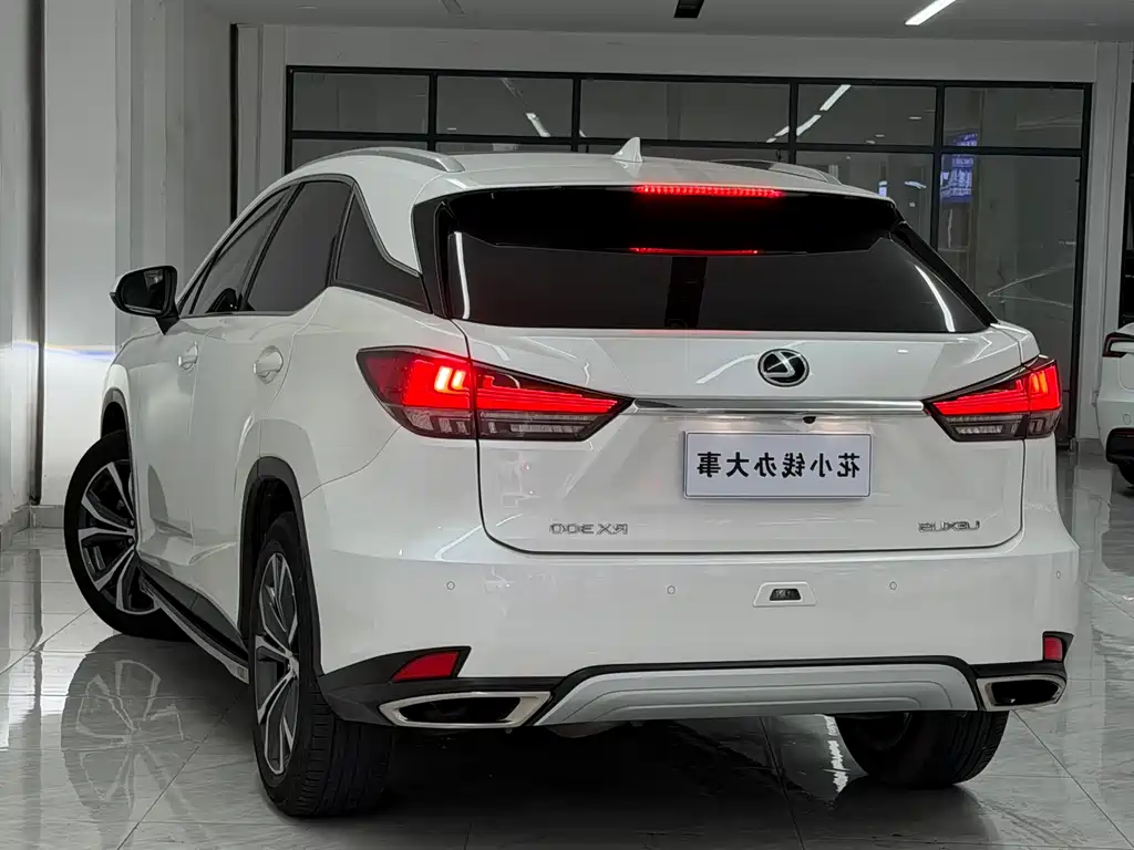 Lexus RX 2021 — фото 14