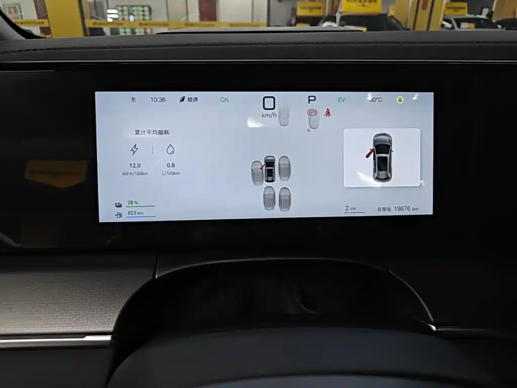 BYD Song L DM-i 2025 — фото 12