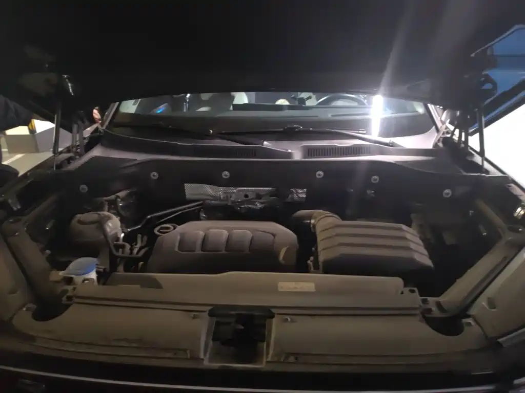 Volkswagen Tavendor 2024 — фото 11