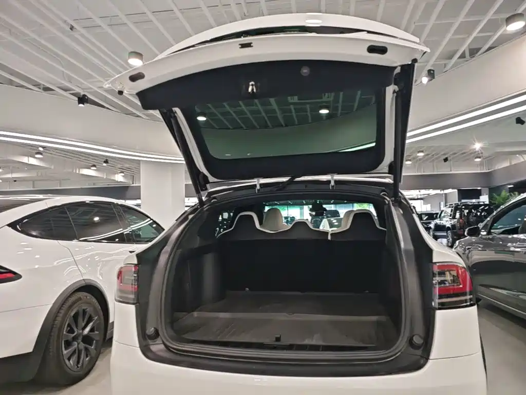 Tesla Model X 2023 — фото 19