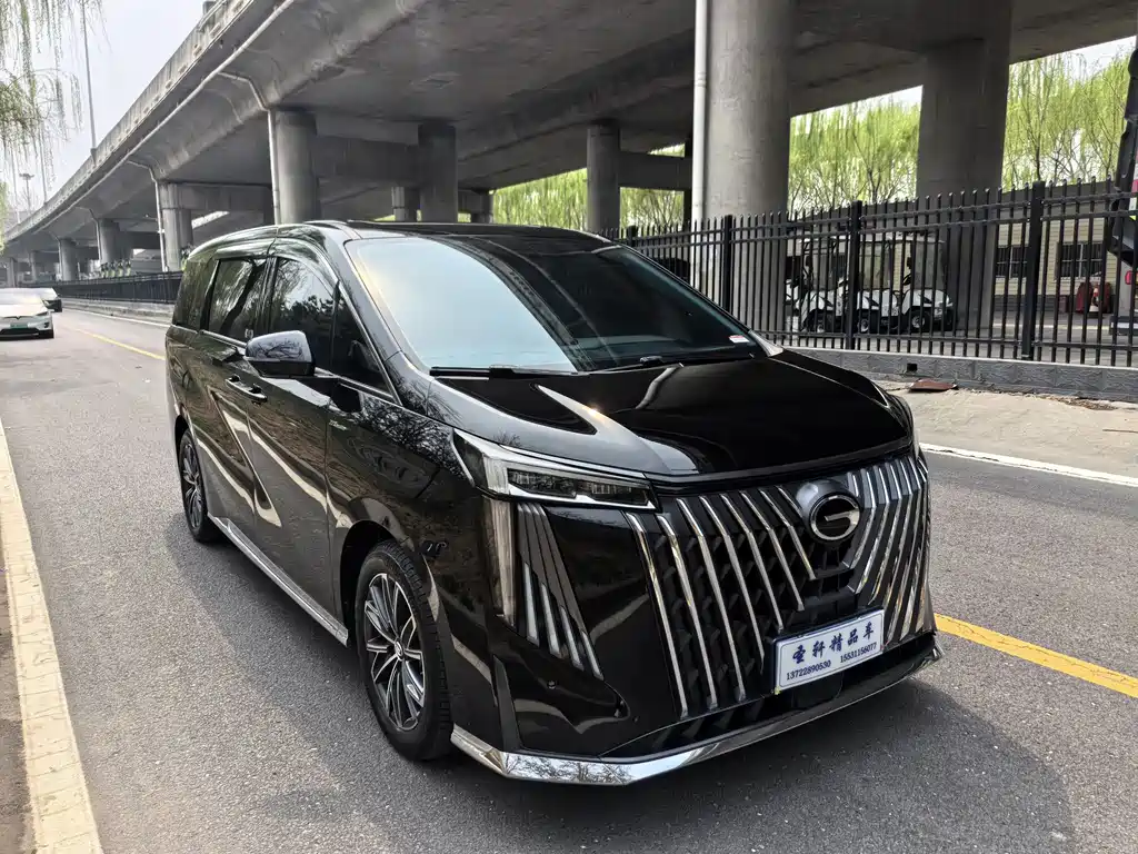 GAC Motor Trumpchi M8 2024 — фото 3