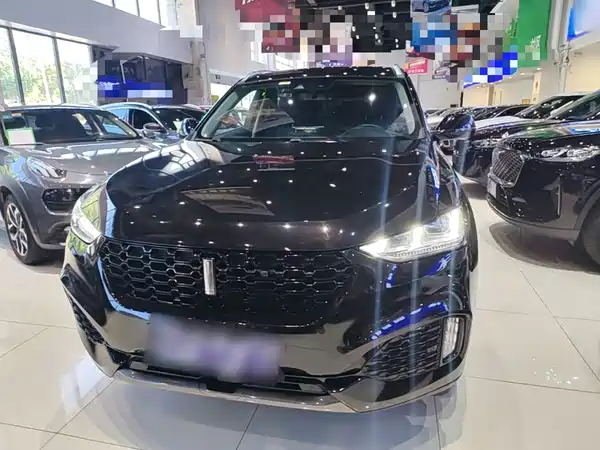 Wey VV6 2019