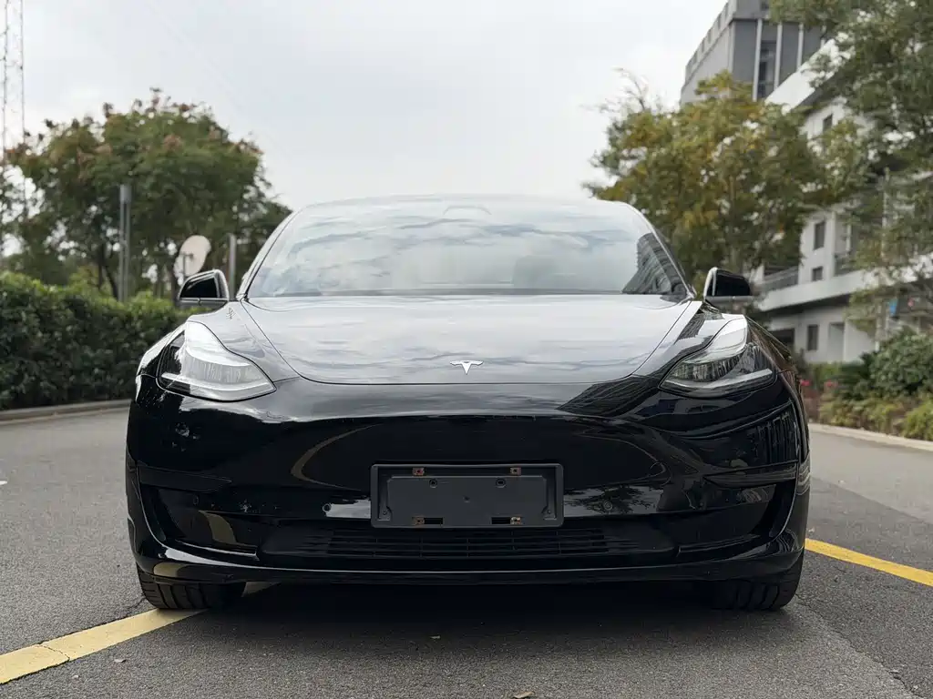 Tesla Model 3 2020 — фото 2
