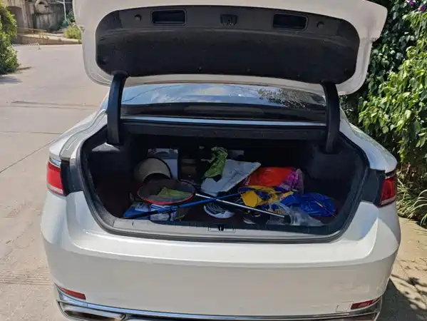 Geely Borui 2020