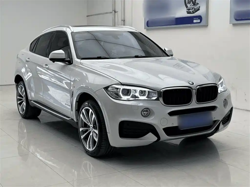 BMW X6 2019 — фото 17