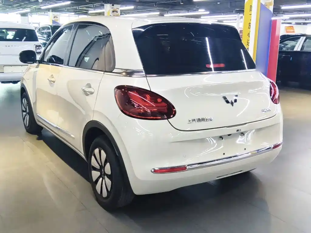 Wuling Bingo 2024