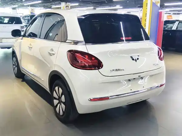 Wuling Bingo 2024