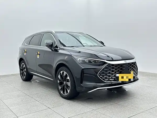 BYD Tang New Energy 2024